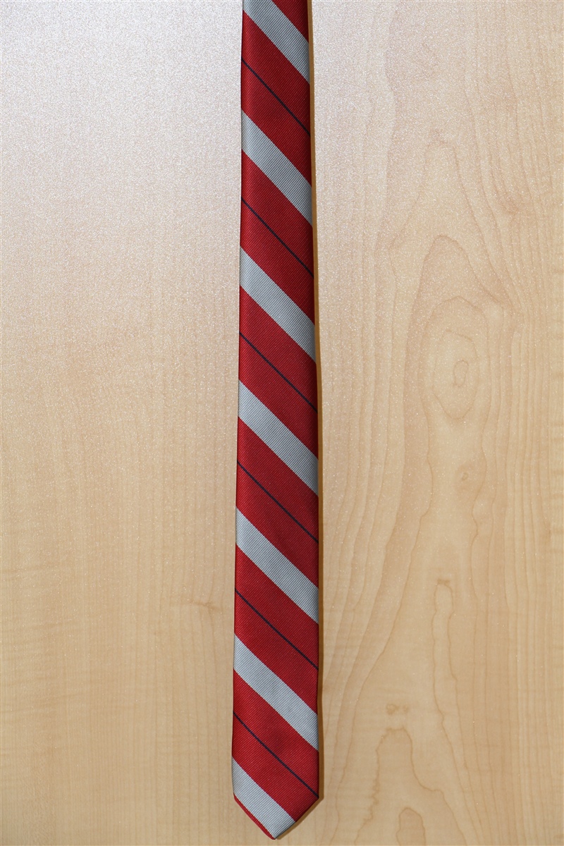 Chess Stripe Reg Skiny Style Tie